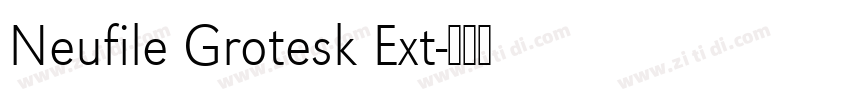 Neufile Grotesk Ext字体转换